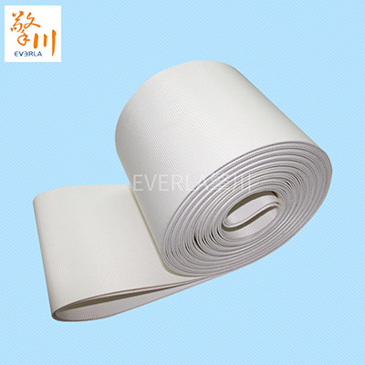 食品<a href='http://www.zgcinnotown.com.cn/shusongdai/' target='_blank'><u>輸送帶</u></a>