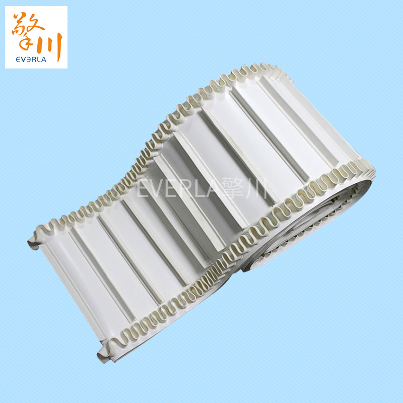 裙邊加擋板PU<a href='http://www.zgcinnotown.com.cn/shusongdai/' target='_blank'><u>輸送帶</u></a>主圖