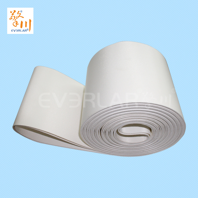 食品皮帶<a href='http://www.zgcinnotown.com.cn/shusongdai/' target='_blank'><u>輸送帶</u></a>