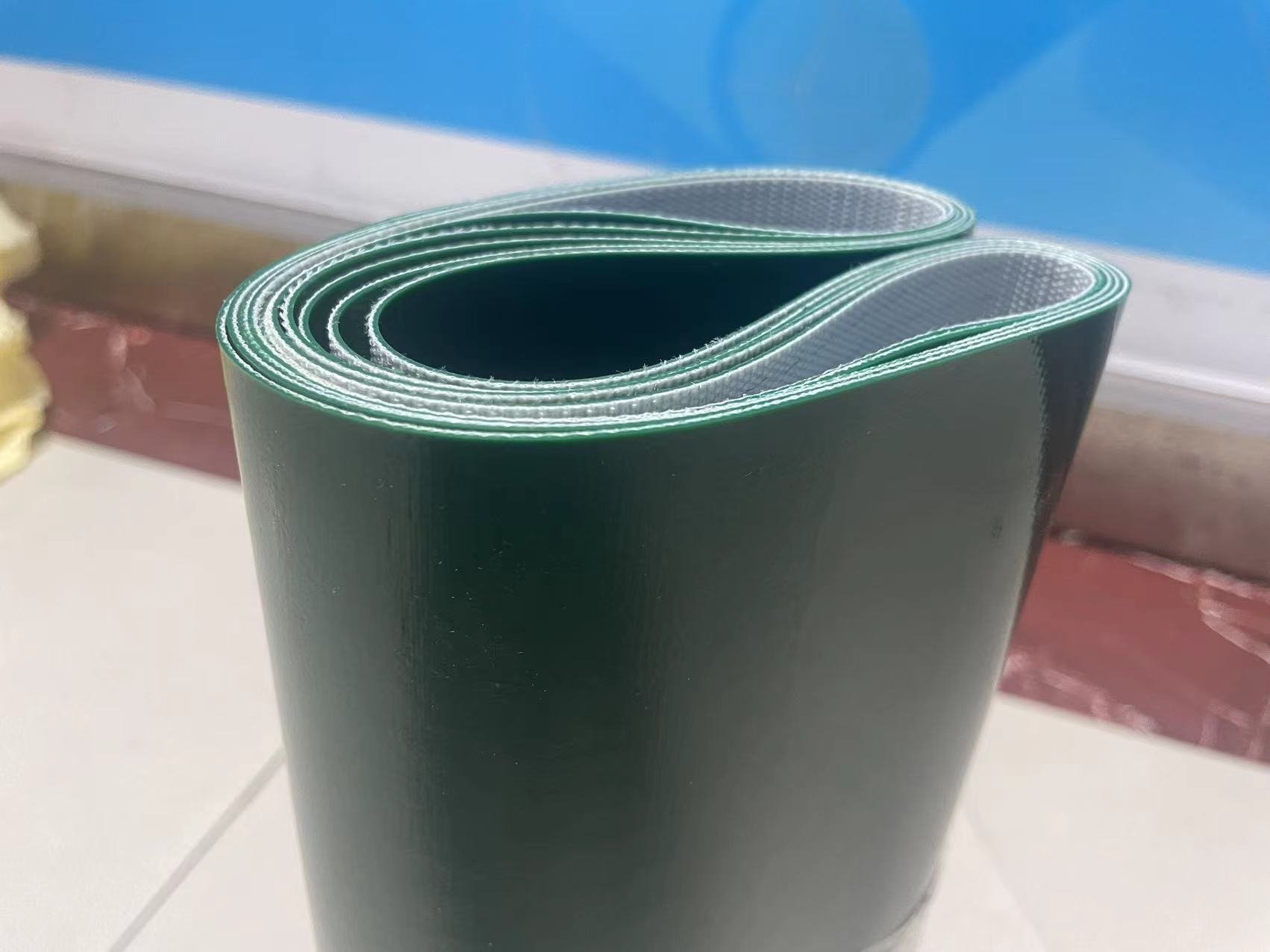 食品<a href='http://www.zgcinnotown.com.cn/shusongdai/' target='_blank'><u>輸送帶</u></a>